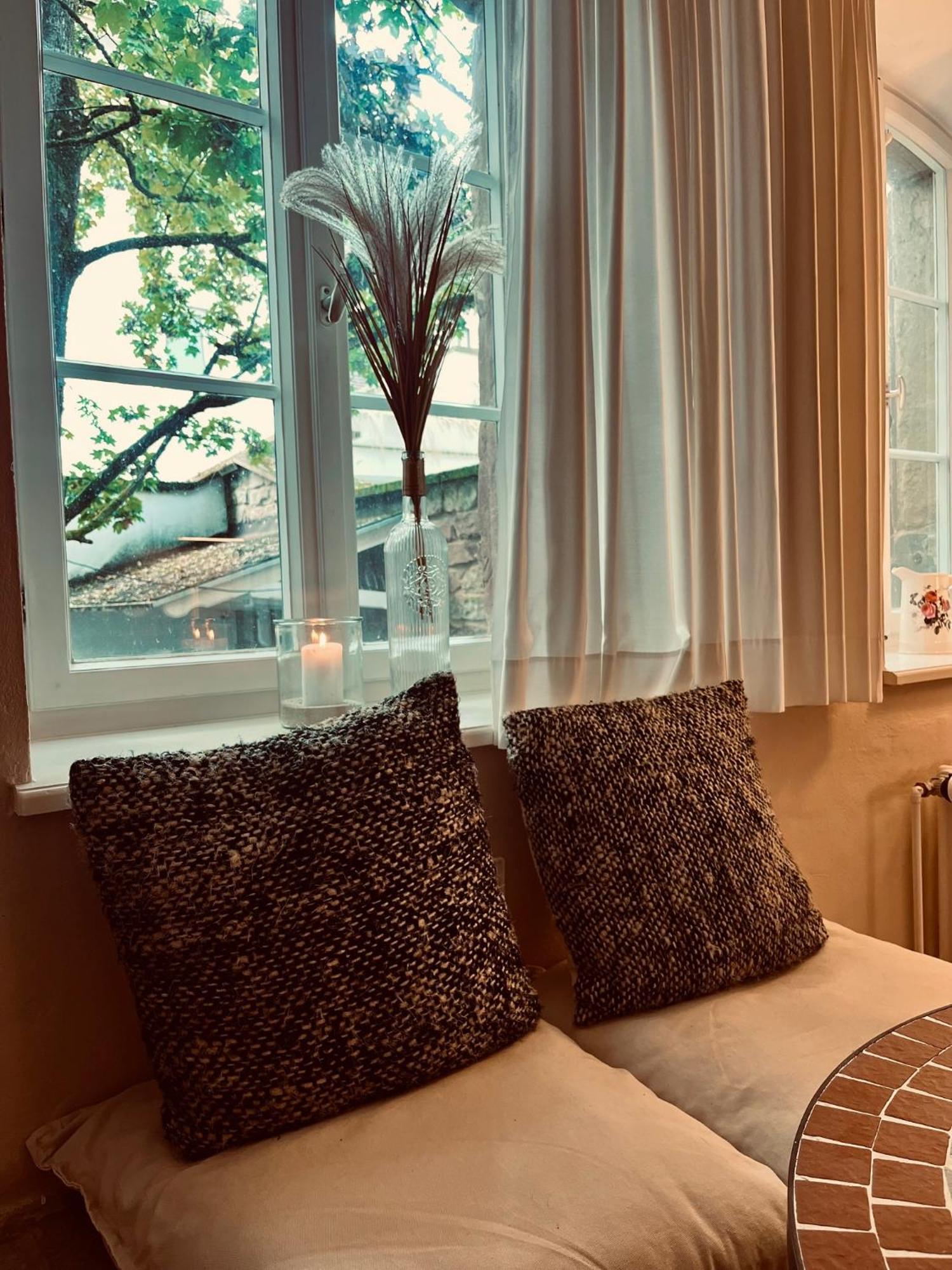 Apartment Am Schloss - Flair Saarbrücken Eksteriør billede