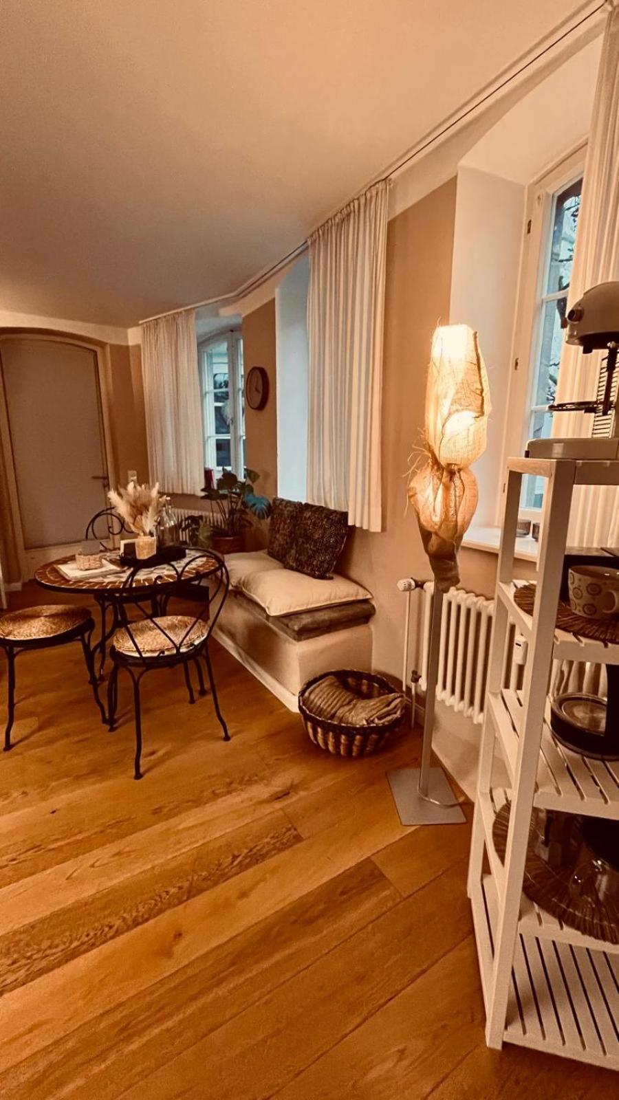 Apartment Am Schloss - Flair Saarbrücken Eksteriør billede