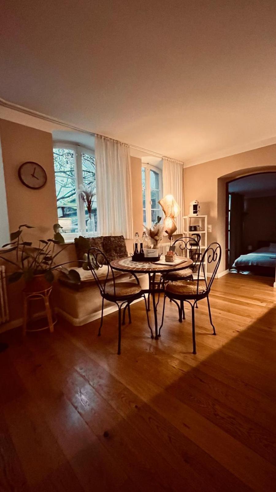 Apartment Am Schloss - Flair Saarbrücken Eksteriør billede
